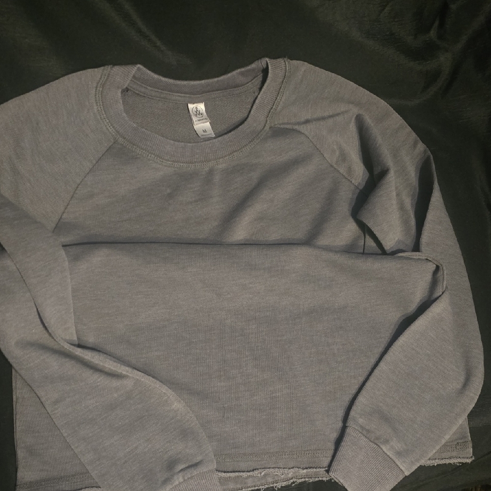 NWOT Alternative Apparel Heather Gray Sweatshirt